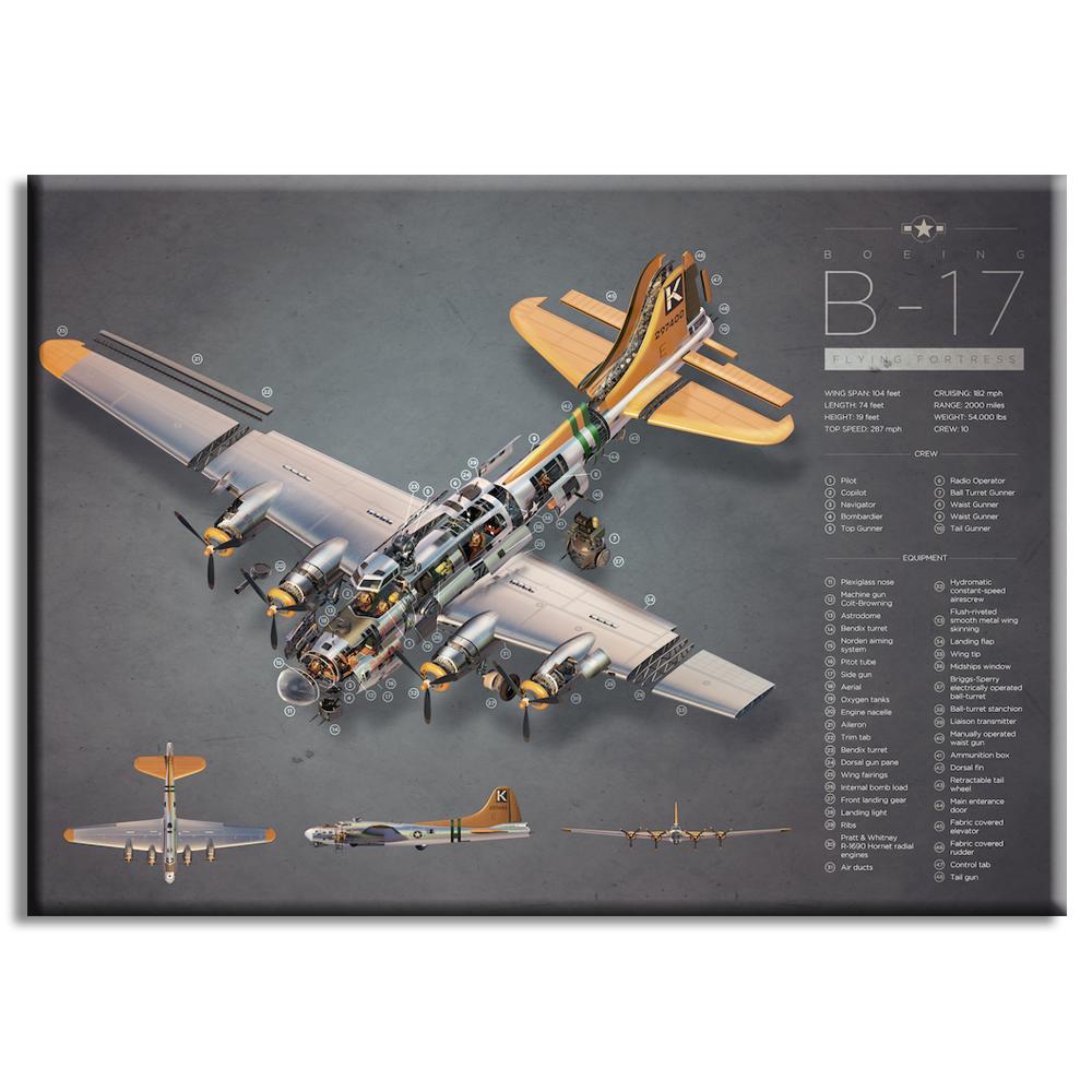 B-17 | Lynx Art